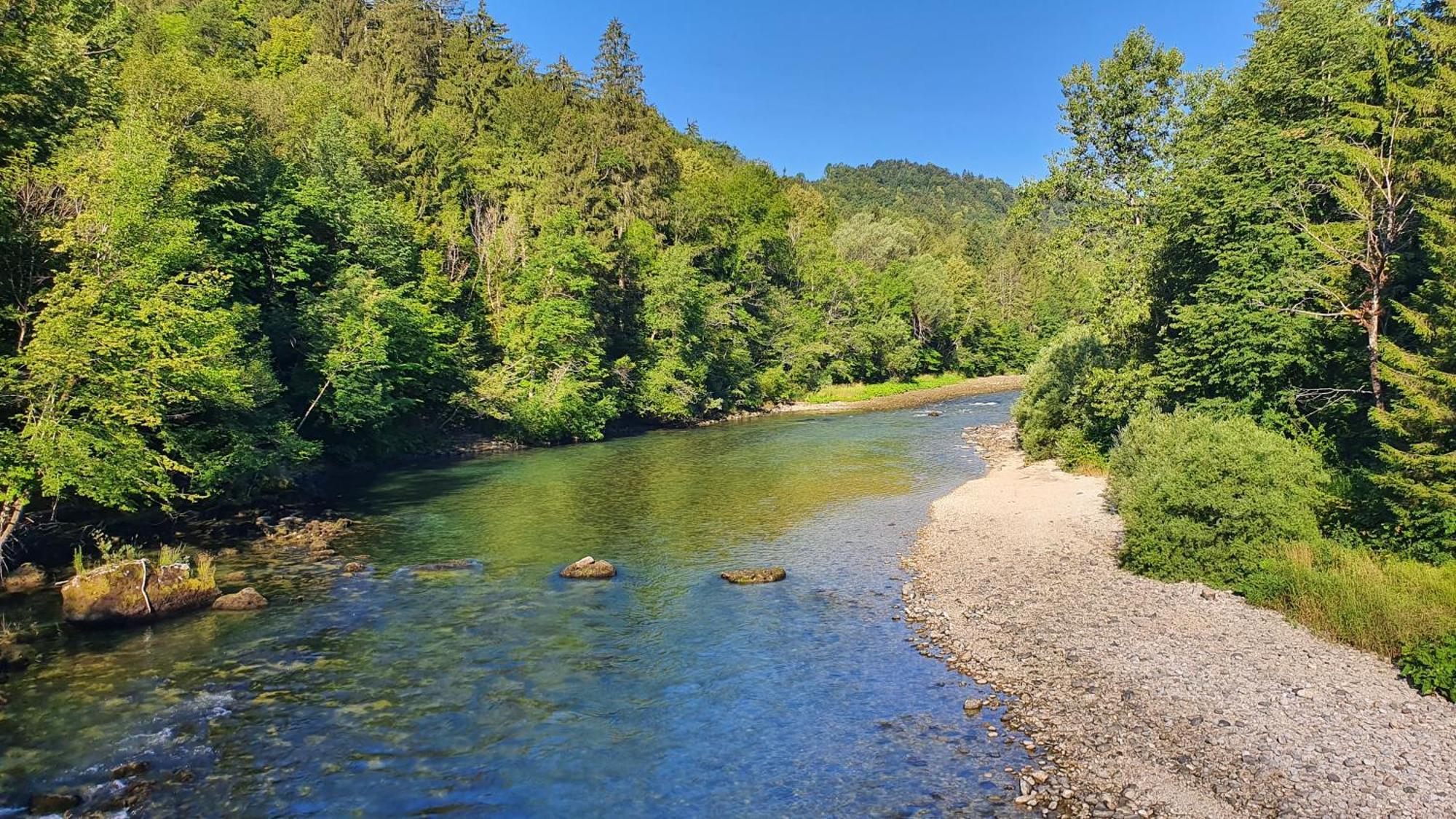 Eco River Camp - Pitches Radovljica Kültér fotó